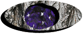 Astloch als Hintergrundbild fr Navigation zu astrologischer Beratung 